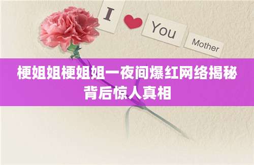 梗姐姐梗姐姐一夜间爆红网络揭秘背后惊人真相