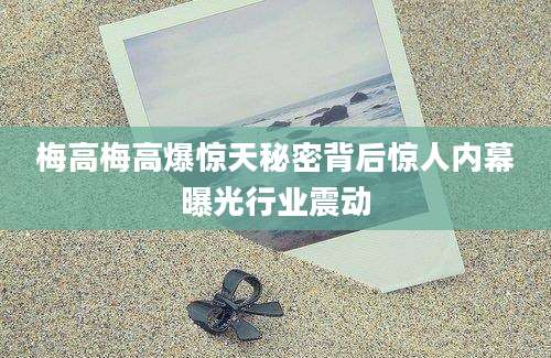 梅高梅高爆惊天秘密背后惊人内幕曝光行业震动
