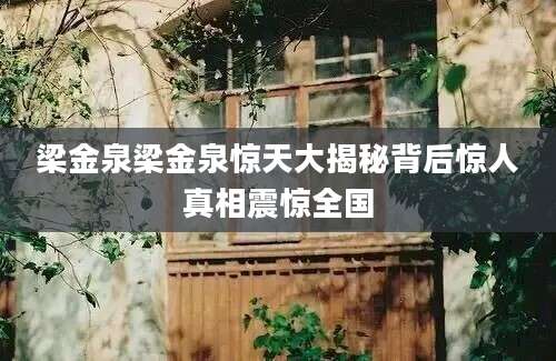 梁金泉梁金泉惊天大揭秘背后惊人真相震惊全国