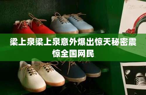 梁上泉梁上泉意外爆出惊天秘密震惊全国网民