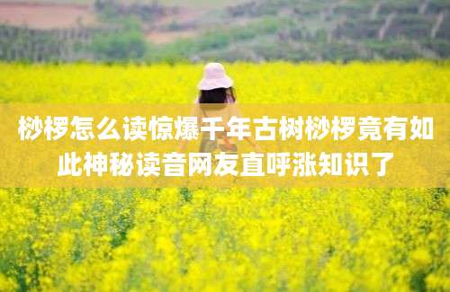 桫椤怎么读惊爆千年古树桫椤竟有如此神秘读音网友直呼涨知识了