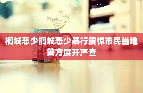 桐城恶少桐城恶少暴行震惊市民当地警方展开严查