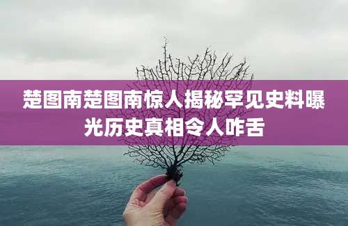 楚图南楚图南惊人揭秘罕见史料曝光历史真相令人咋舌
