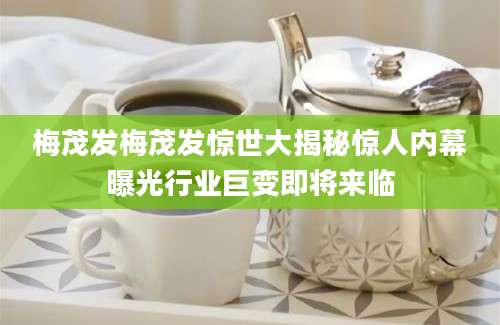 梅茂发梅茂发惊世大揭秘惊人内幕曝光行业巨变即将来临