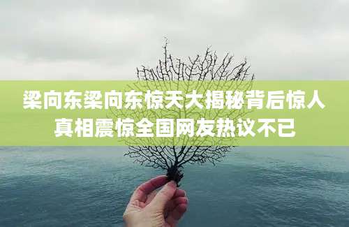 梁向东梁向东惊天大揭秘背后惊人真相震惊全国网友热议不已