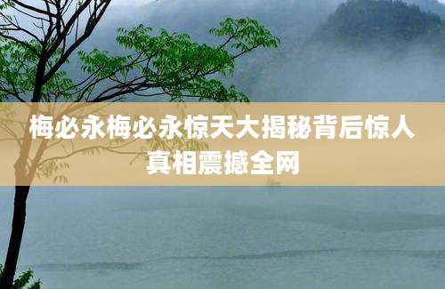梅必永梅必永惊天大揭秘背后惊人真相震撼全网