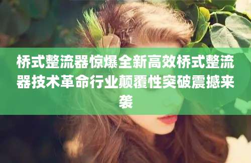 桥式整流器惊爆全新高效桥式整流器技术革命行业颠覆性突破震撼来袭
