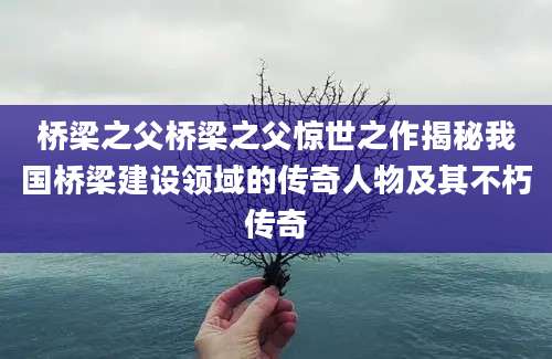 桥梁之父桥梁之父惊世之作揭秘我国桥梁建设领域的传奇人物及其不朽传奇