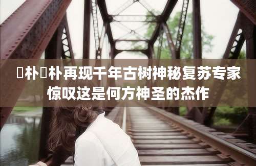 棫朴棫朴再现千年古树神秘复苏专家惊叹这是何方神圣的杰作