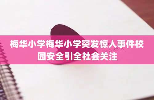 梅华小学梅华小学突发惊人事件校园安全引全社会关注