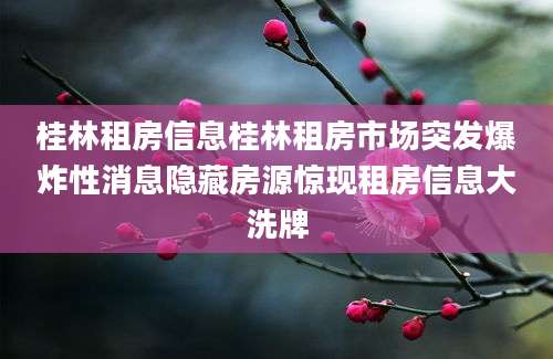 桂林租房信息桂林租房市场突发爆炸性消息隐藏房源惊现租房信息大洗牌