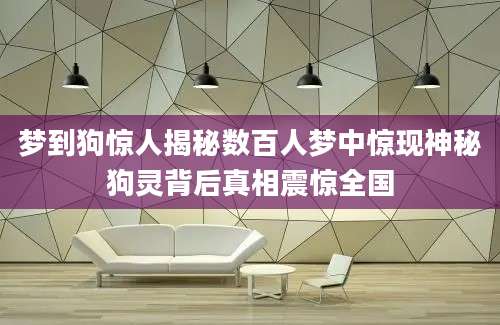 梦到狗惊人揭秘数百人梦中惊现神秘狗灵背后真相震惊全国