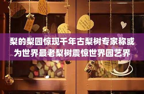 梨的梨园惊现千年古梨树专家称或为世界最老梨树震惊世界园艺界