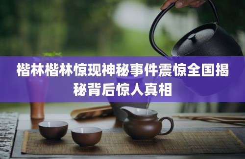 楷林楷林惊现神秘事件震惊全国揭秘背后惊人真相