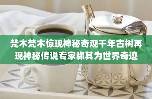 梵木梵木惊现神秘奇观千年古树再现神秘传说专家称其为世界奇迹
