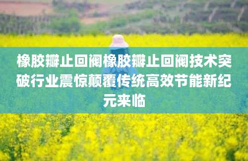 橡胶瓣止回阀橡胶瓣止回阀技术突破行业震惊颠覆传统高效节能新纪元来临
