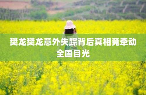 樊龙樊龙意外失踪背后真相竟牵动全国目光