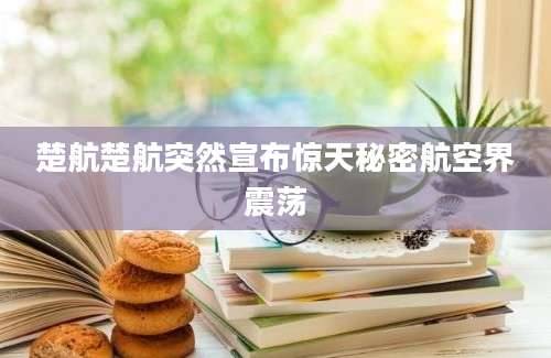 楚航楚航突然宣布惊天秘密航空界震荡