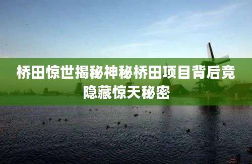 桥田惊世揭秘神秘桥田项目背后竟隐藏惊天秘密
