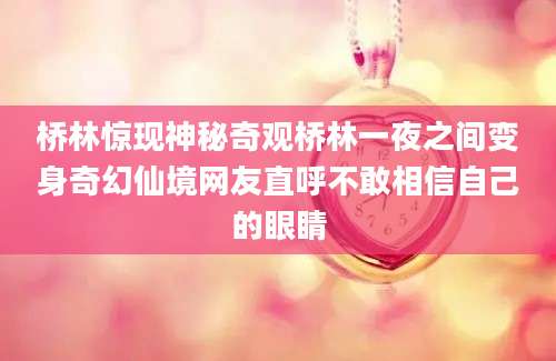 桥林惊现神秘奇观桥林一夜之间变身奇幻仙境网友直呼不敢相信自己的眼睛