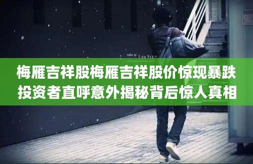 梅雁吉祥股梅雁吉祥股价惊现暴跌投资者直呼意外揭秘背后惊人真相