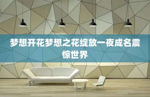 梦想开花梦想之花绽放一夜成名震惊世界