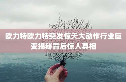 欧力特欧力特突发惊天大动作行业巨变揭秘背后惊人真相