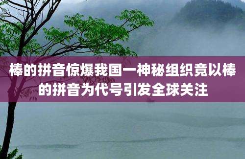 棒的拼音惊爆我国一神秘组织竟以棒的拼音为代号引发全球关注