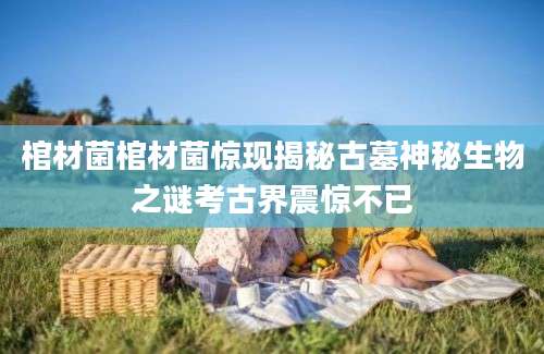 棺材菌棺材菌惊现揭秘古墓神秘生物之谜考古界震惊不已