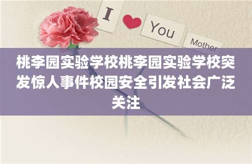 桃李园实验学校桃李园实验学校突发惊人事件校园安全引发社会广泛关注