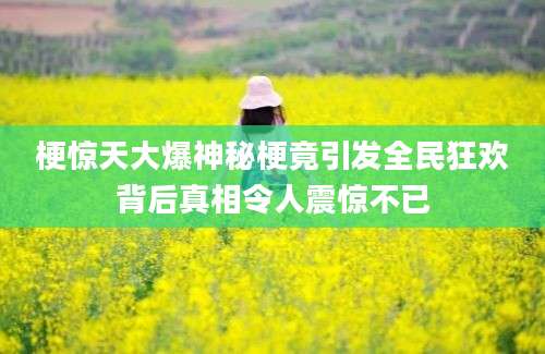 梗惊天大爆神秘梗竟引发全民狂欢背后真相令人震惊不已
