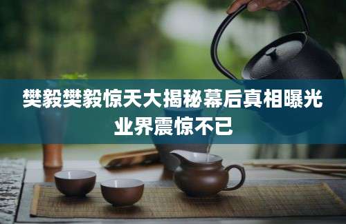 樊毅樊毅惊天大揭秘幕后真相曝光业界震惊不已