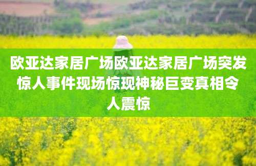 欧亚达家居广场欧亚达家居广场突发惊人事件现场惊现神秘巨变真相令人震惊