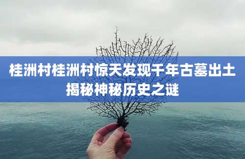桂洲村桂洲村惊天发现千年古墓出土揭秘神秘历史之谜