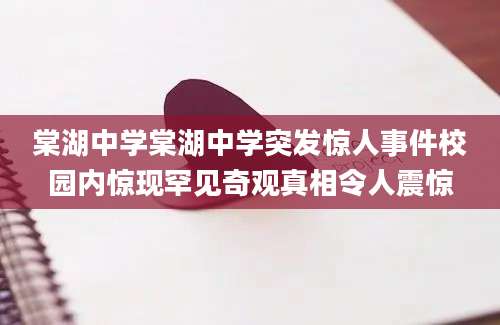 棠湖中学棠湖中学突发惊人事件校园内惊现罕见奇观真相令人震惊