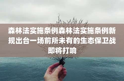 森林法实施条例森林法实施条例新规出台一场前所未有的生态保卫战即将打响