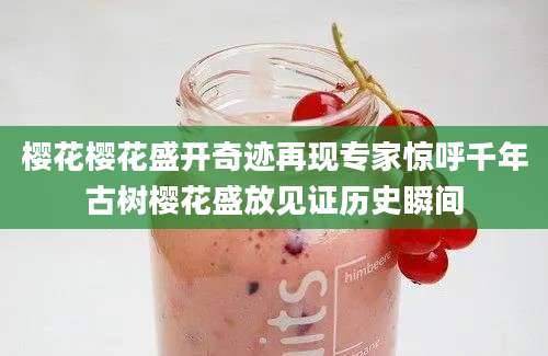 樱花樱花盛开奇迹再现专家惊呼千年古树樱花盛放见证历史瞬间
