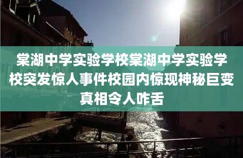 棠湖中学实验学校棠湖中学实验学校突发惊人事件校园内惊现神秘巨变真相令人咋舌
