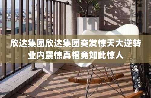 欣达集团欣达集团突发惊天大逆转业内震惊真相竟如此惊人