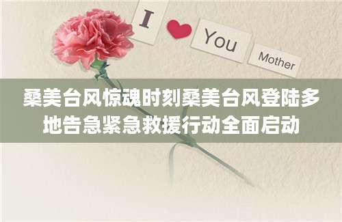 桑美台风惊魂时刻桑美台风登陆多地告急紧急救援行动全面启动