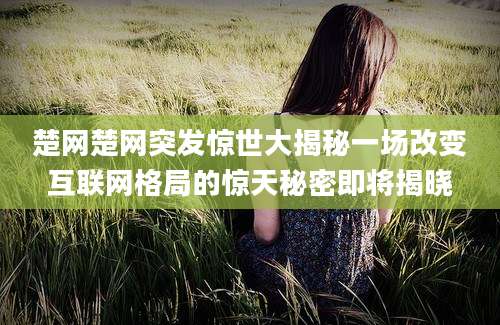 楚网楚网突发惊世大揭秘一场改变互联网格局的惊天秘密即将揭晓