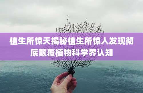植生所惊天揭秘植生所惊人发现彻底颠覆植物科学界认知