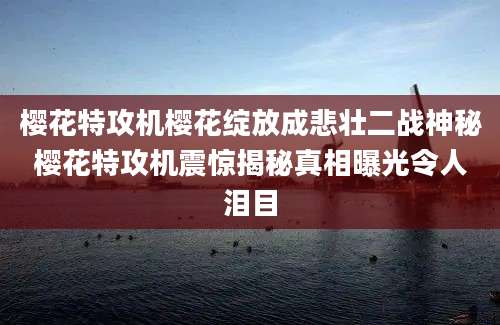 樱花特攻机樱花绽放成悲壮二战神秘樱花特攻机震惊揭秘真相曝光令人泪目