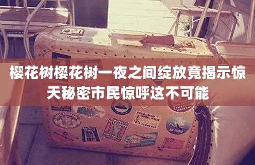 樱花树樱花树一夜之间绽放竟揭示惊天秘密市民惊呼这不可能