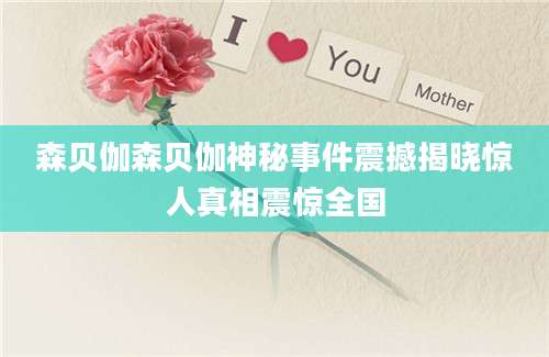 森贝伽森贝伽神秘事件震撼揭晓惊人真相震惊全国