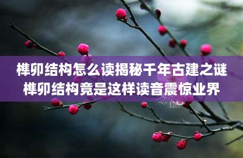 榫卯结构怎么读揭秘千年古建之谜榫卯结构竟是这样读音震惊业界