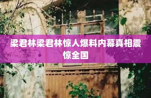梁君林梁君林惊人爆料内幕真相震惊全国