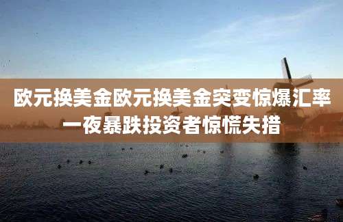 欧元换美金欧元换美金突变惊爆汇率一夜暴跌投资者惊慌失措