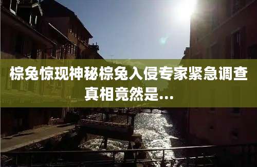 棕兔惊现神秘棕兔入侵专家紧急调查真相竟然是...