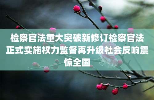检察官法重大突破新修订检察官法正式实施权力监督再升级社会反响震惊全国